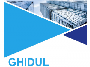 ghidul investitorului 14_12_2020-